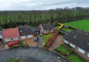 Photo 29- click for photo gallery